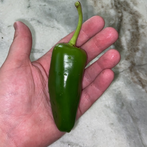 Old Navy Bikini - Picture 3 of 4